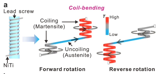 A diagram showing the process of coil bending nitinol