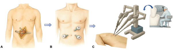 A diagram of a person's body

AI-generated content may be incorrect.