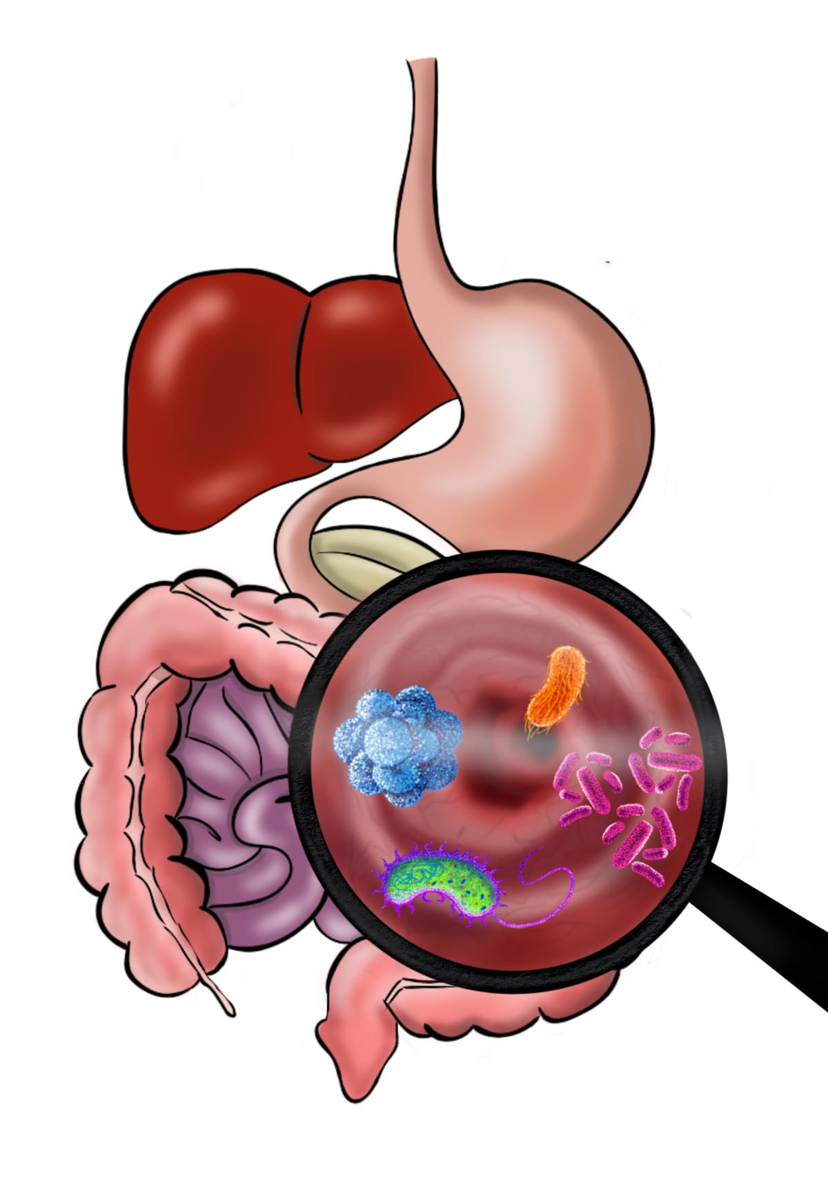 The Microbiome: Exploring the Trillions of Bacteria, Viruses and Fungi that Tirelessly Keep You Alive