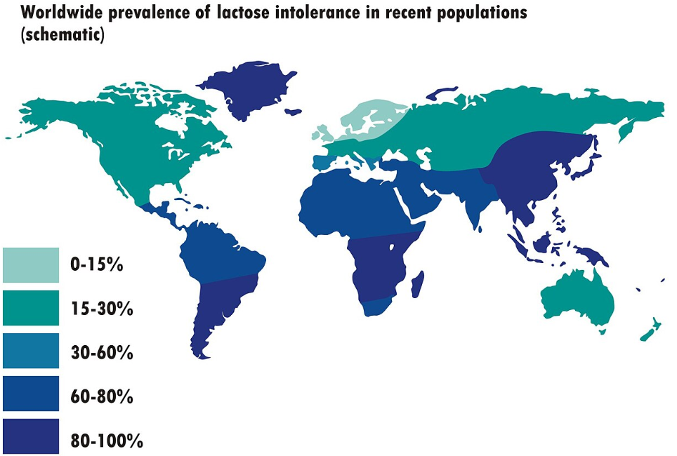Lactose Intolerance: Why More People Have It In Different Parts of the World