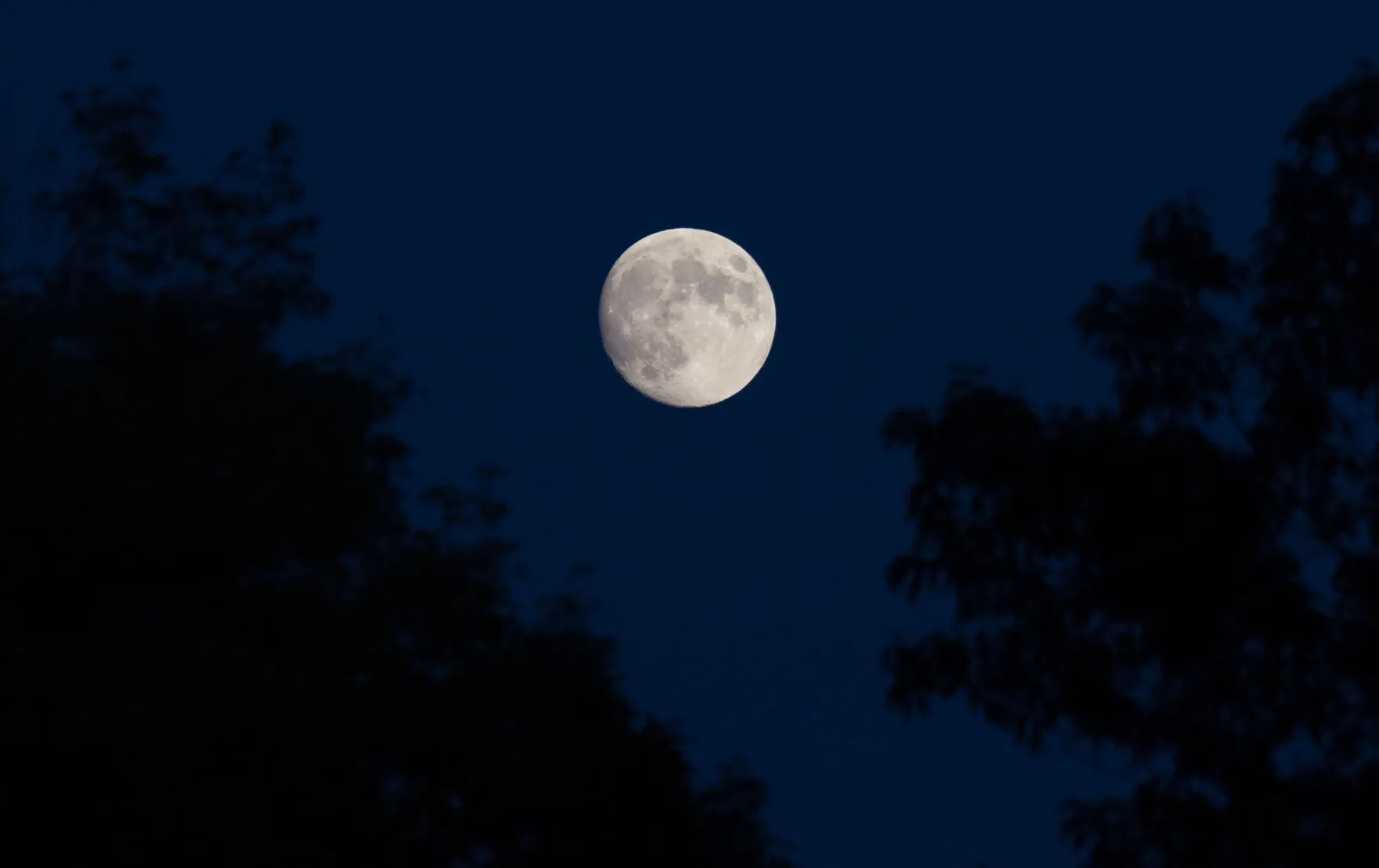 Earth Without The Moon: A World Transformed