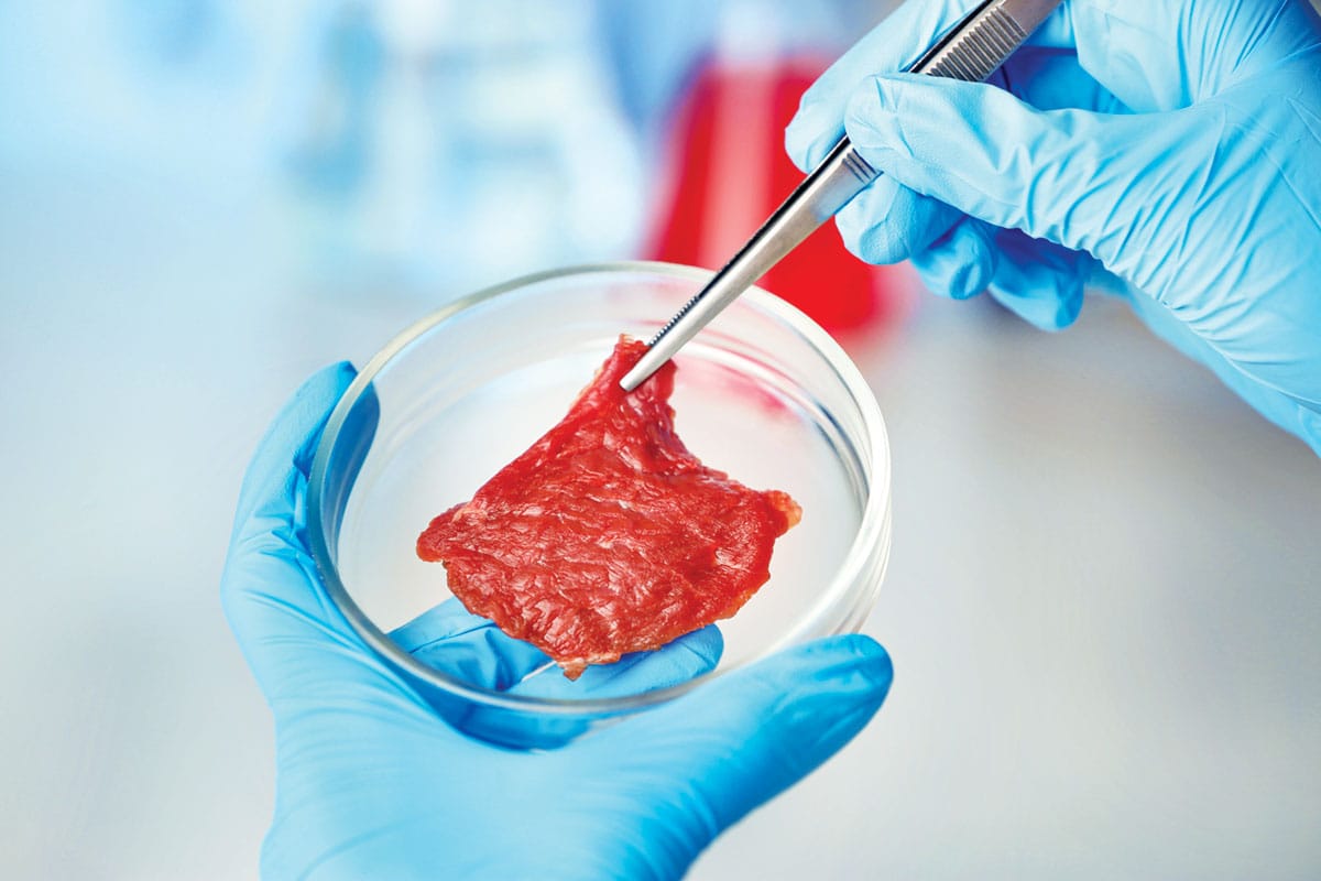 Cultured Meat, a Low Carbon Alternative?
