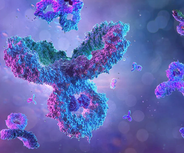 Why Monoclonal Antibodies (mAbs) are so revolutionary