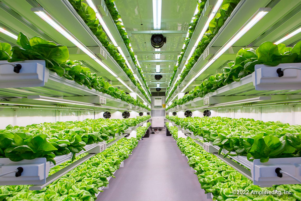 /html https://igrownews.com/vertical-farming-in-japan-spotlight-on-local-innovators/