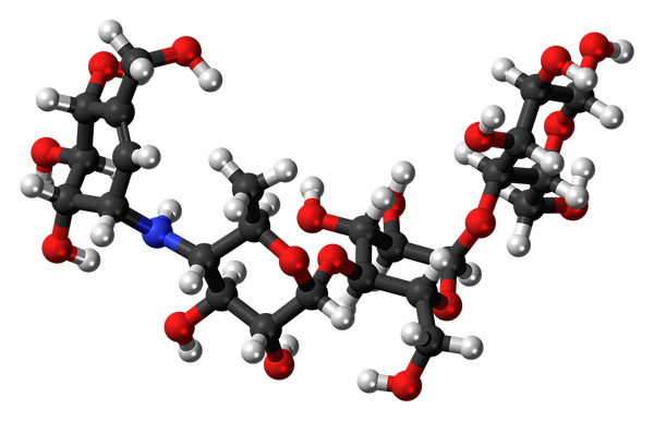 Prions and Alzheimer's Disease