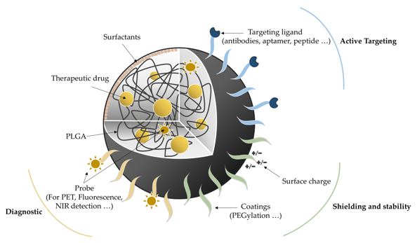 Encapsulated drug diagram