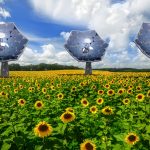 Solar Panels enjoying a Bright Future
